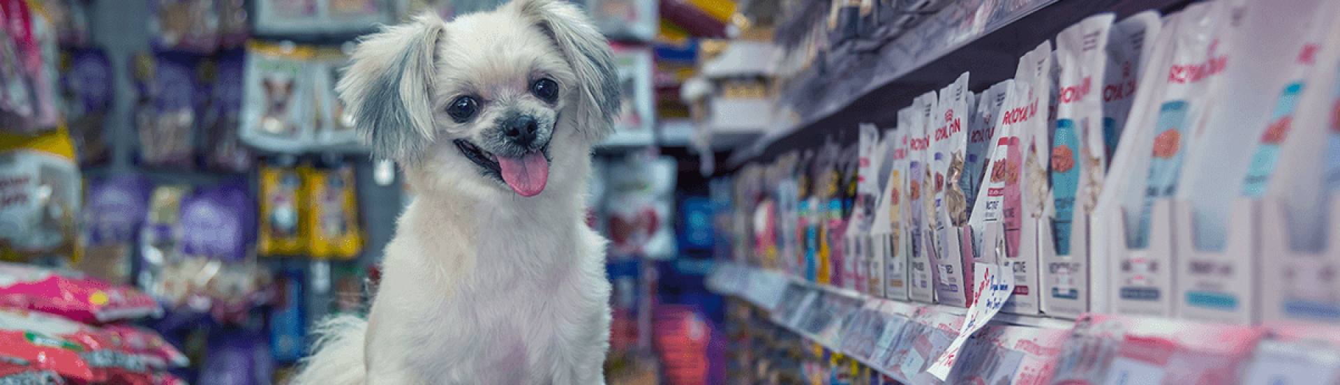 ASN Nacional - Agência Sebrae de Notícias