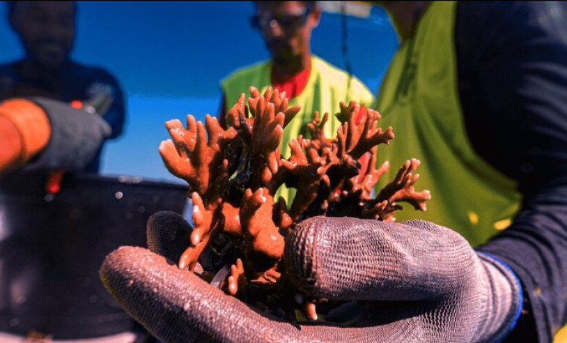 ASN Nacional - Agência Sebrae de Notícias