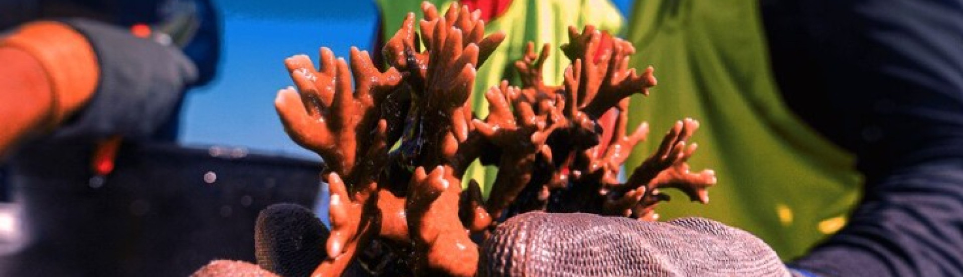 ASN Nacional - Agência Sebrae de Notícias