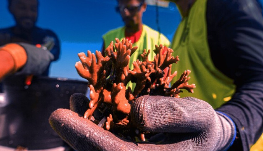 ASN Nacional - Agência Sebrae de Notícias