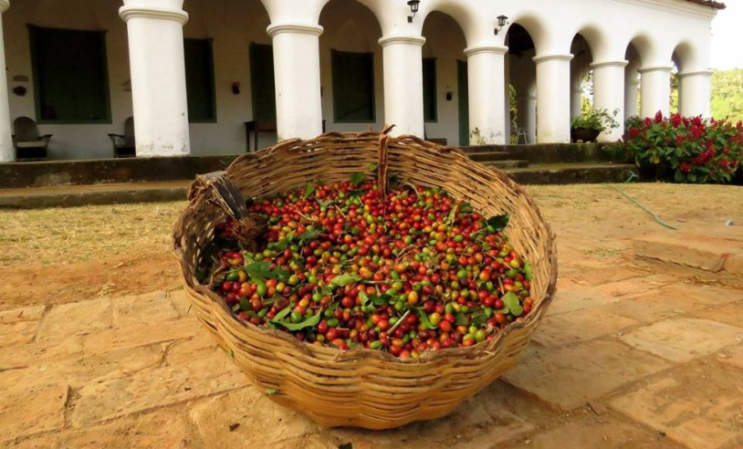 ASN Nacional - Agência Sebrae de Notícias