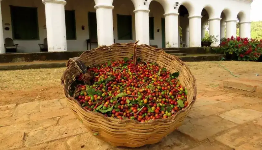 ASN Nacional - Agência Sebrae de Notícias