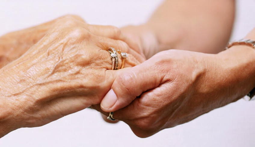 ASN Nacional - Agência Sebrae de Notícias