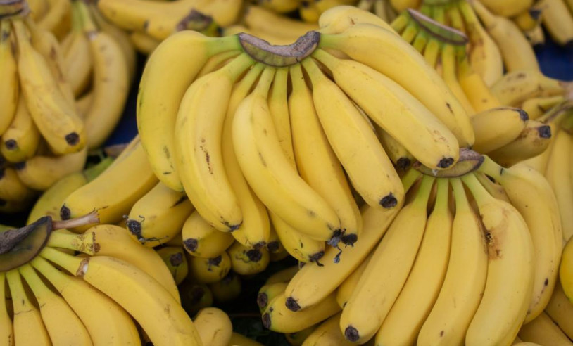 ASN Nacional - Agência Sebrae de Notícias