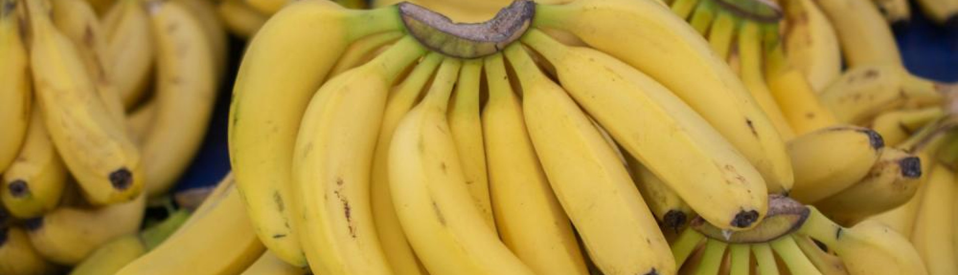 ASN Nacional - Agência Sebrae de Notícias