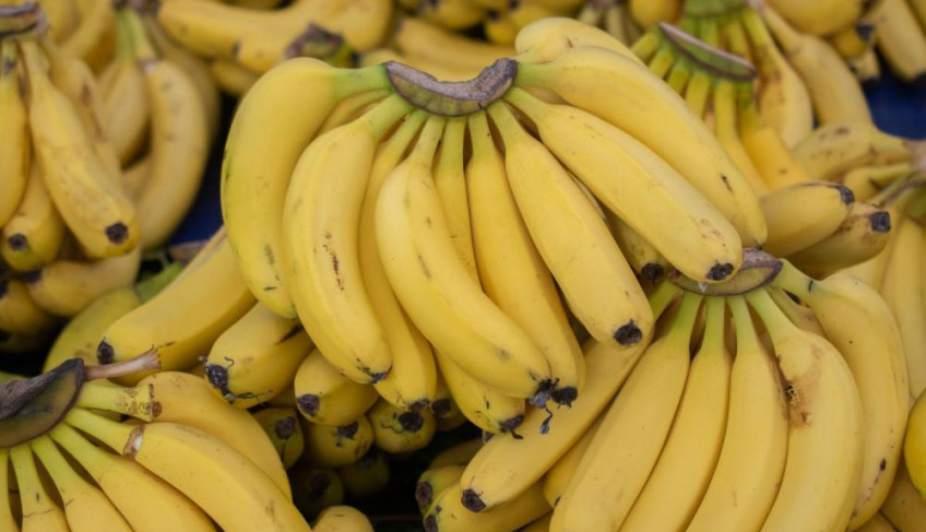 ASN Nacional - Agência Sebrae de Notícias