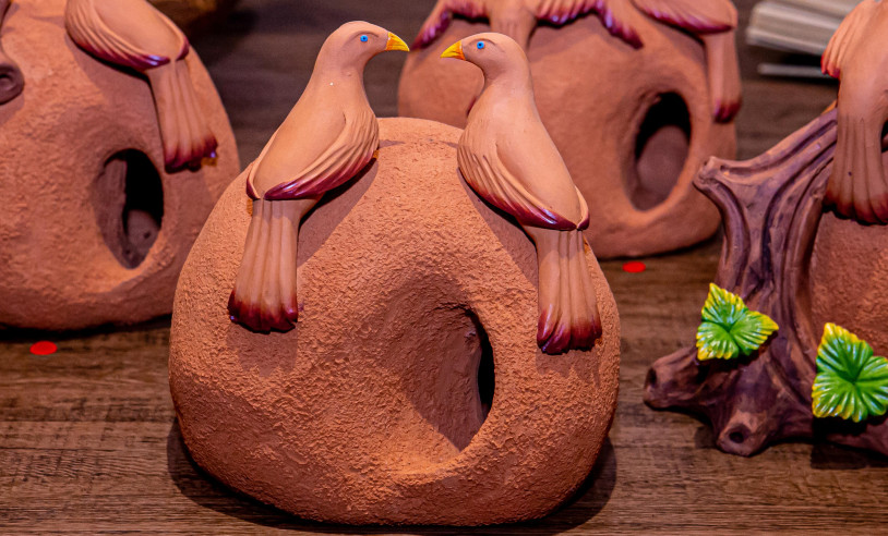 ASN Nacional - Agência Sebrae de Notícias