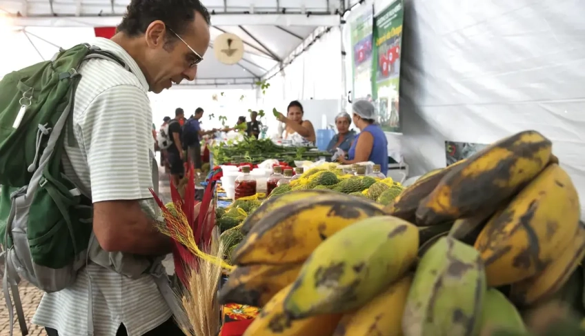 ASN Nacional - Agência Sebrae de Notícias