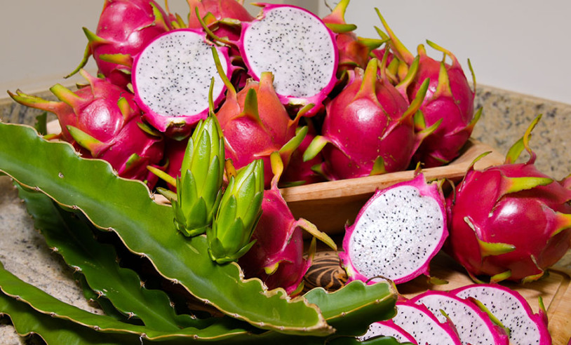 ASN Nacional - Agência Sebrae de Notícias