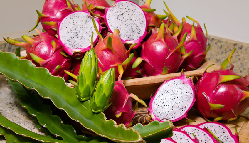 ASN Nacional - Agência Sebrae de Notícias